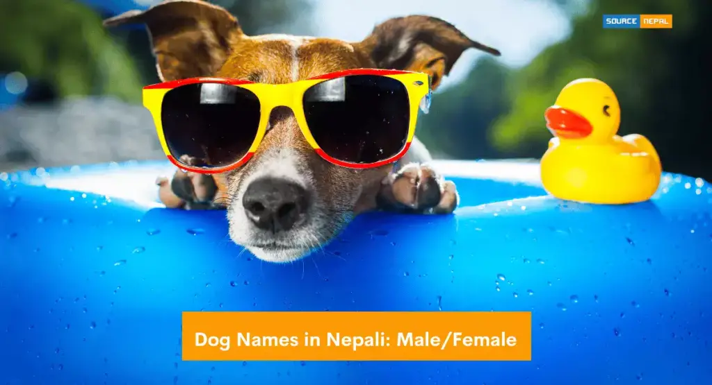 Dog Names Nepali Male Female